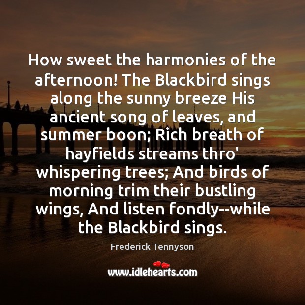 How sweet the harmonies of the afternoon! The Blackbird sings along the Image