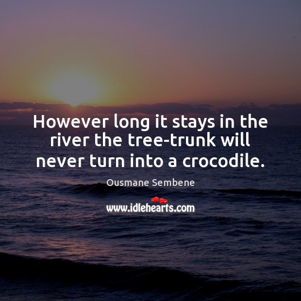 However long it stays in the river the tree-trunk will never turn into a crocodile. Ousmane Sembene Picture Quote