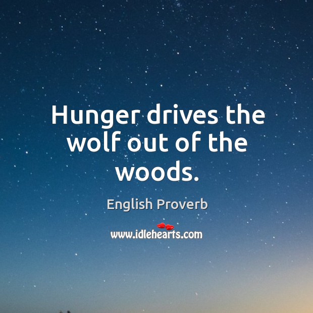 Hunger drives the wolf out of the woods. Image
