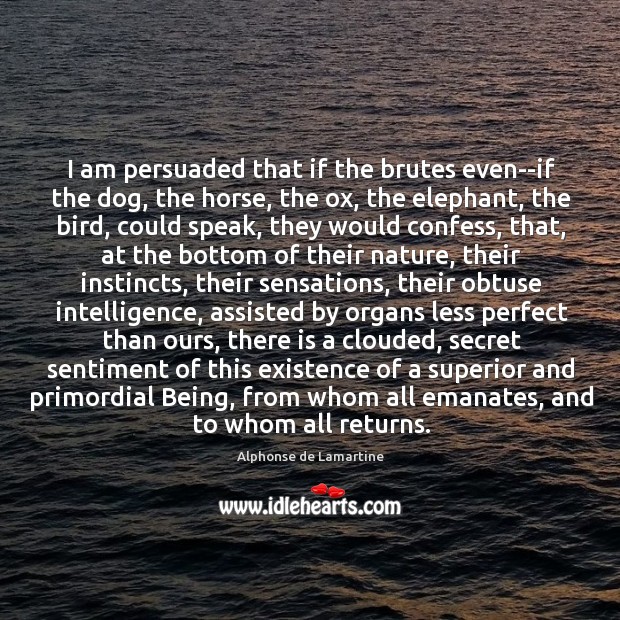 I am persuaded that if the brutes even–if the dog, the horse, Image