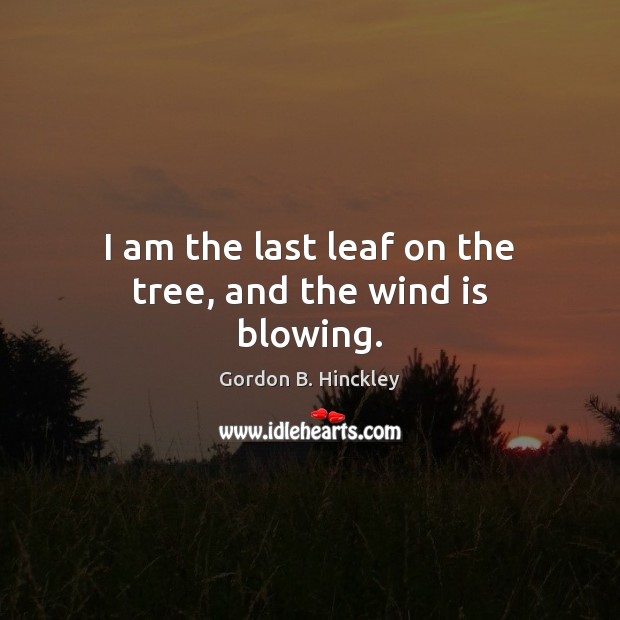 I am the last leaf on the tree, and the wind is blowing. Gordon B. Hinckley Picture Quote