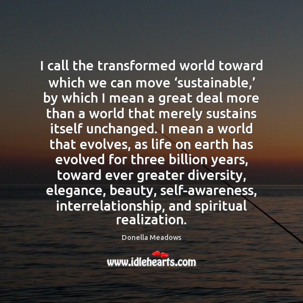I call the transformed world toward which we can move ‘sustainable,’ by Donella Meadows Picture Quote