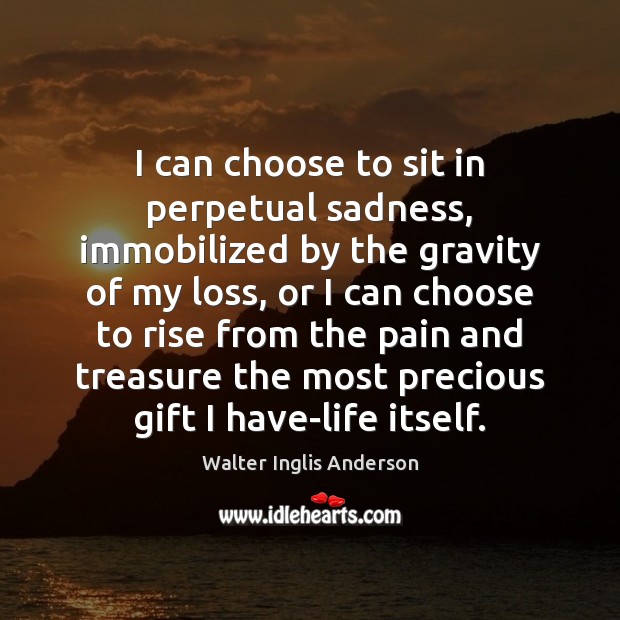 I can choose to sit in perpetual sadness, immobilized by the gravity Gift Quotes Image