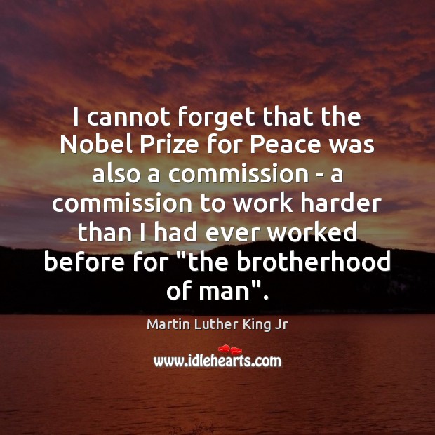 I cannot forget that the Nobel Prize for Peace was also a Martin Luther King Jr Picture Quote