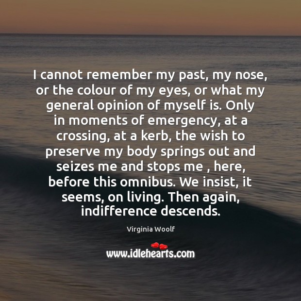 I cannot remember my past, my nose, or the colour of my Virginia Woolf Picture Quote