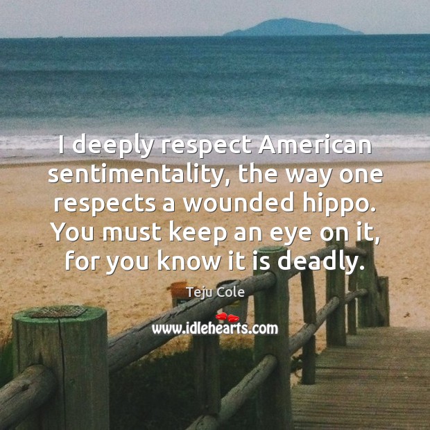 I deeply respect American sentimentality, the way one respects a wounded hippo. Image