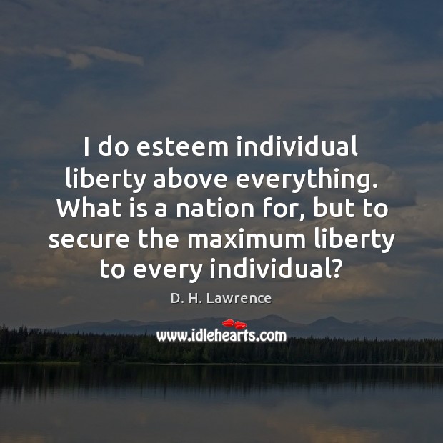 I do esteem individual liberty above everything. What is a nation for, Image