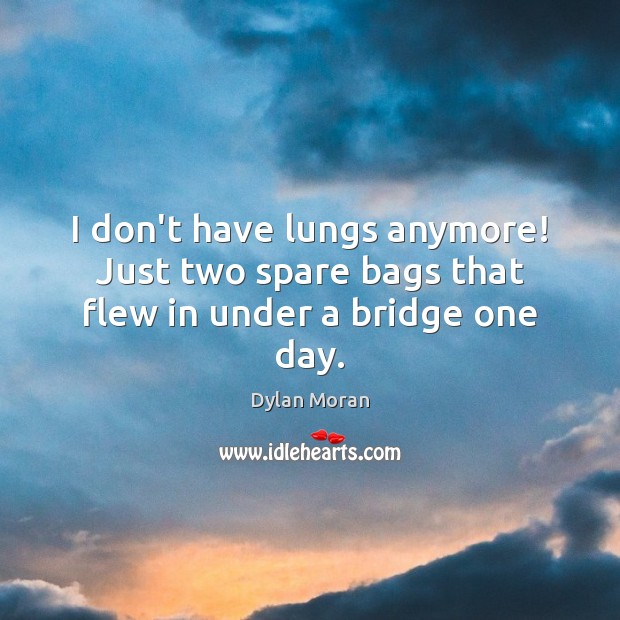 I don’t have lungs anymore! Just two spare bags that flew in under a bridge one day. Image