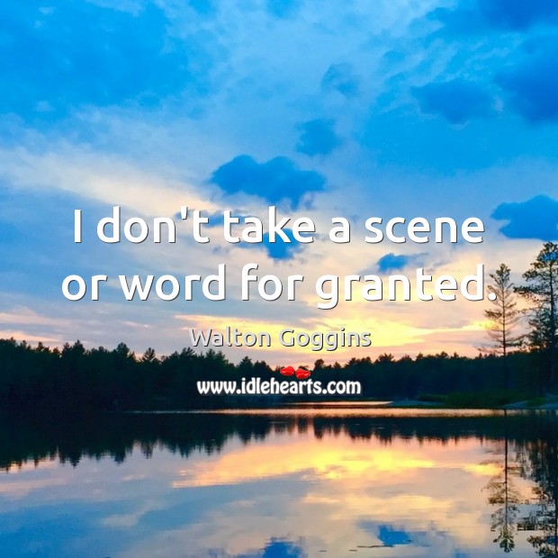 I don’t take a scene or word for granted. Walton Goggins Picture Quote