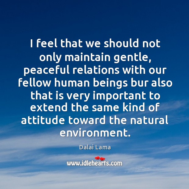 I feel that we should not only maintain gentle, peaceful relations with Environment Quotes Image