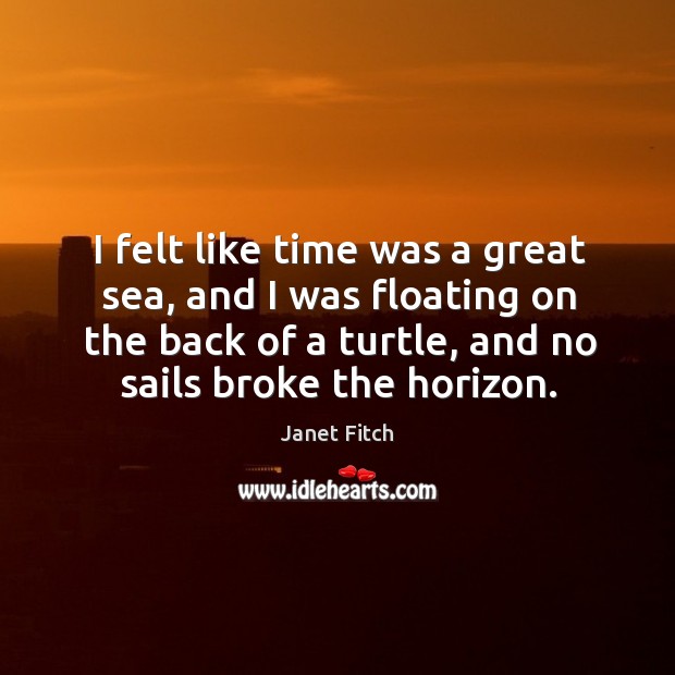 I felt like time was a great sea, and I was floating Janet Fitch Picture Quote