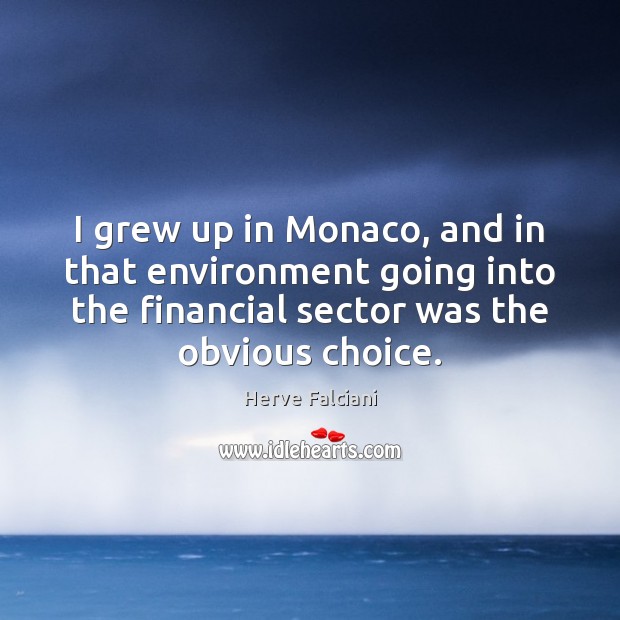 I grew up in Monaco, and in that environment going into the Herve Falciani Picture Quote