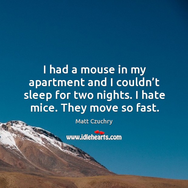 I had a mouse in my apartment and I couldn’t sleep for two nights. I hate mice. They move so fast. Matt Czuchry Picture Quote