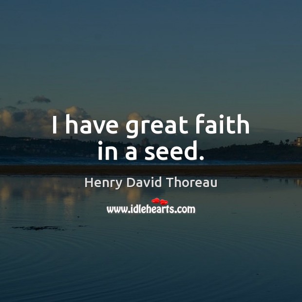 I have great faith in a seed. Image