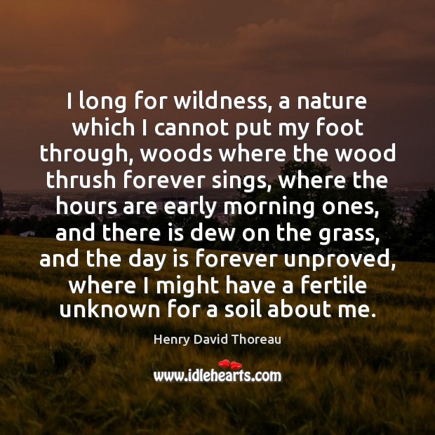 I long for wildness, a nature which I cannot put my foot Henry David Thoreau Picture Quote