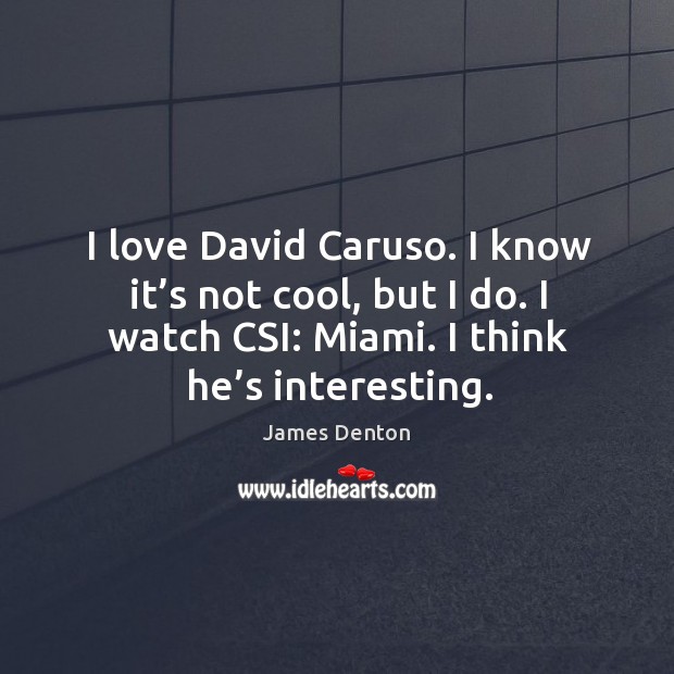 I love david caruso. I know it s not cool but I do. I watch csi