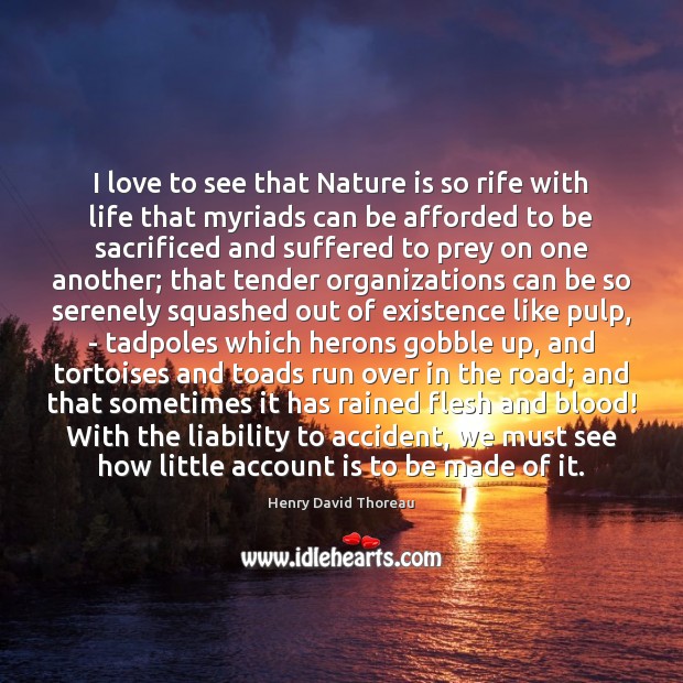 I love to see that Nature is so rife with life that Nature Quotes Image