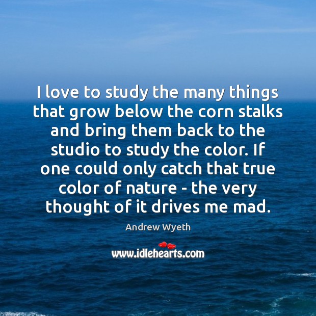 I love to study the many things that grow below the corn Nature Quotes Image