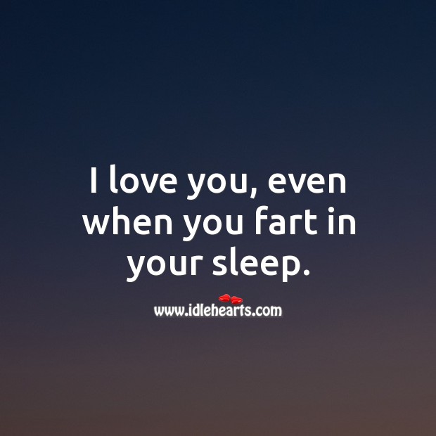 silly i love you quotes
