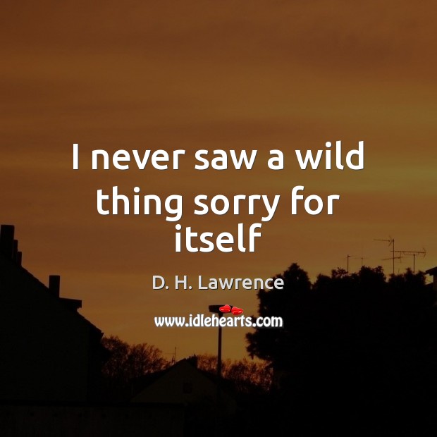 I never saw a wild thing sorry for itself Image