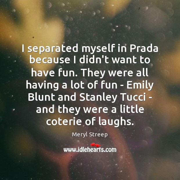 I separated myself in Prada because I didn’t want to have fun. Meryl Streep Picture Quote