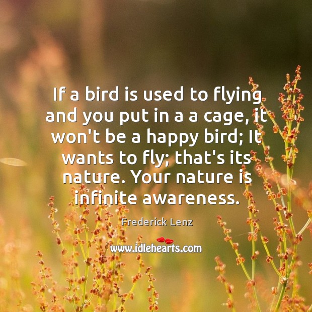 If a bird is used to flying and you put in a Nature Quotes Image