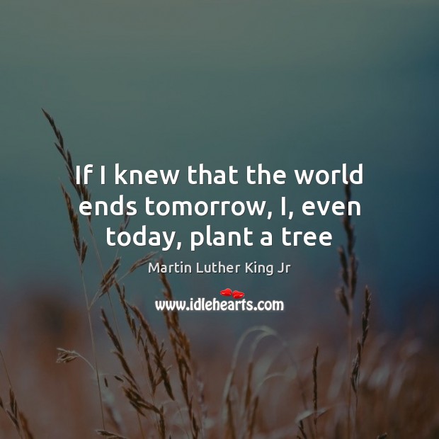 If I knew that the world ends tomorrow, I, even today, plant a tree Martin Luther King Jr Picture Quote