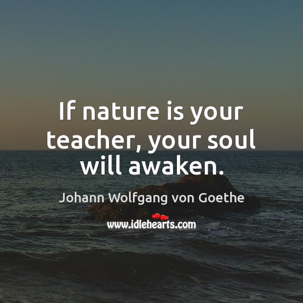 If nature is your teacher, your soul will awaken. Nature Quotes Image