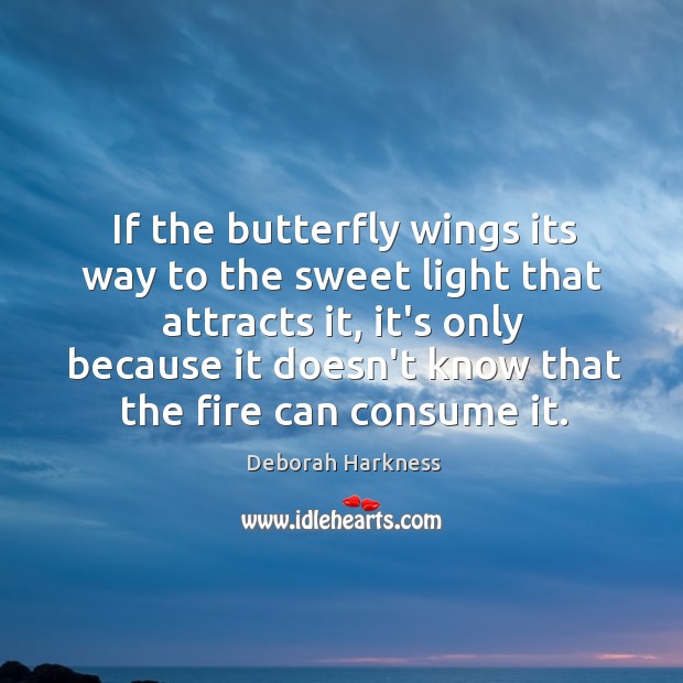 If the butterfly wings its way to the sweet light that attracts Deborah Harkness Picture Quote