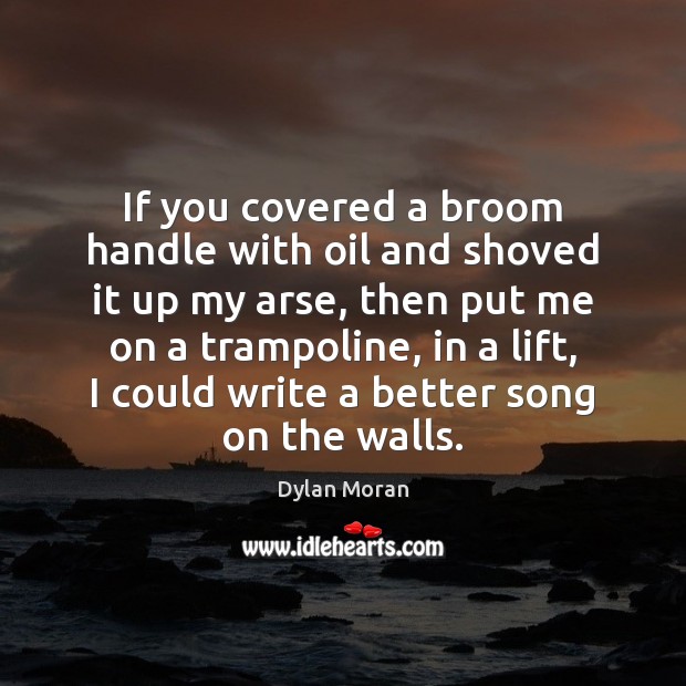 If you covered a broom handle with oil and shoved it up Dylan Moran Picture Quote