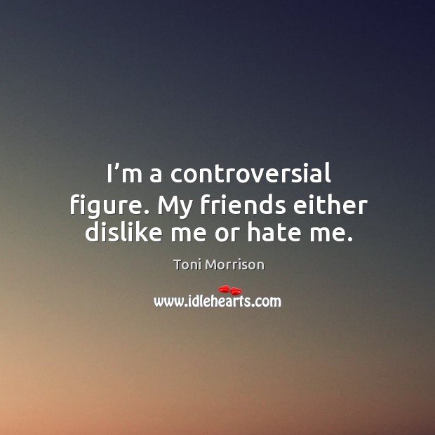 I’m a controversial figure. My friends either dislike me or hate me. Image