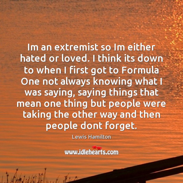 Im an extremist so Im either hated or loved. I think its Lewis Hamilton Picture Quote