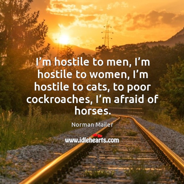 I’m hostile to men, I’m hostile to women, I’m hostile to cats, to poor cockroaches, I’m afraid of horses. Afraid Quotes Image