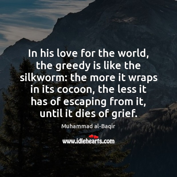 In his love for the world, the greedy is like the silkworm: Muhammad al-Baqir Picture Quote