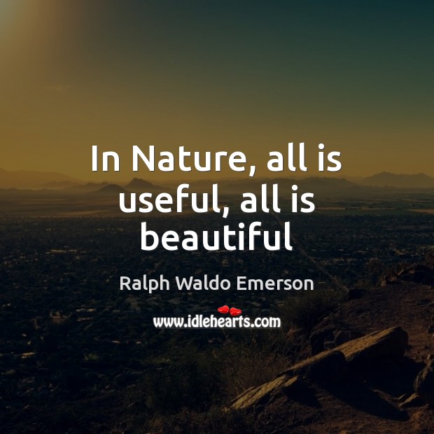 In Nature, all is useful, all is beautiful Nature Quotes Image