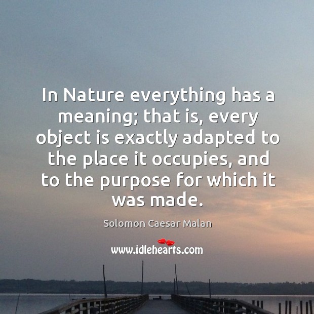 In Nature everything has a meaning; that is, every object is exactly Nature Quotes Image