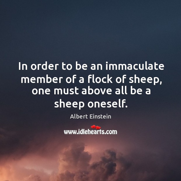 In order to be an immaculate member of a flock of sheep, one must above all be a sheep oneself. Albert Einstein Picture Quote