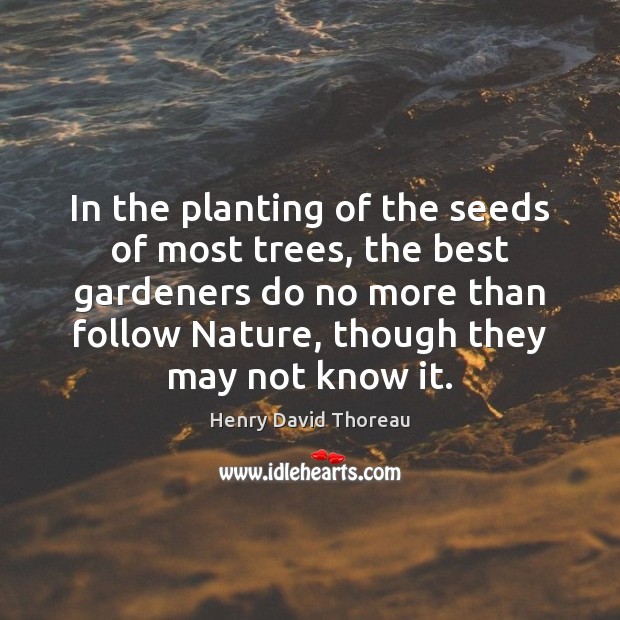 In the planting of the seeds of most trees, the best gardeners Nature Quotes Image