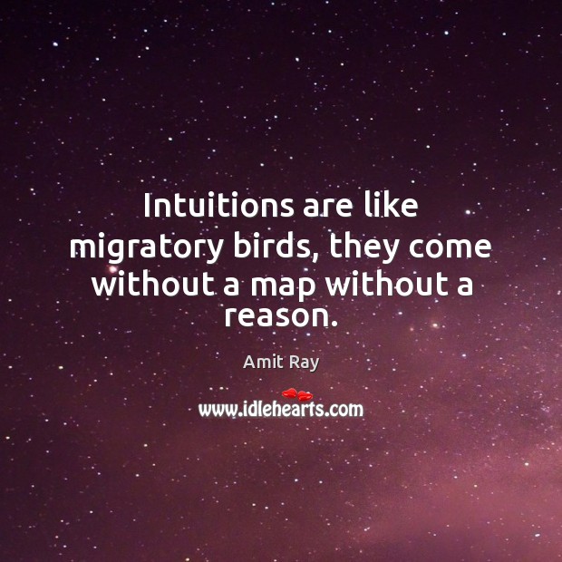 Intuitions are like migratory birds, they come without a map without a reason. Picture Quotes Image