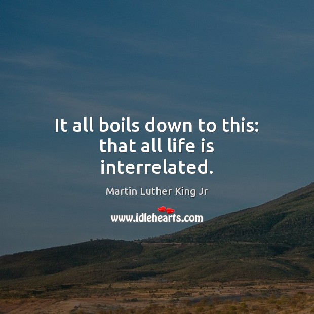 It all boils down to this: that all life is interrelated. Martin Luther King Jr Picture Quote