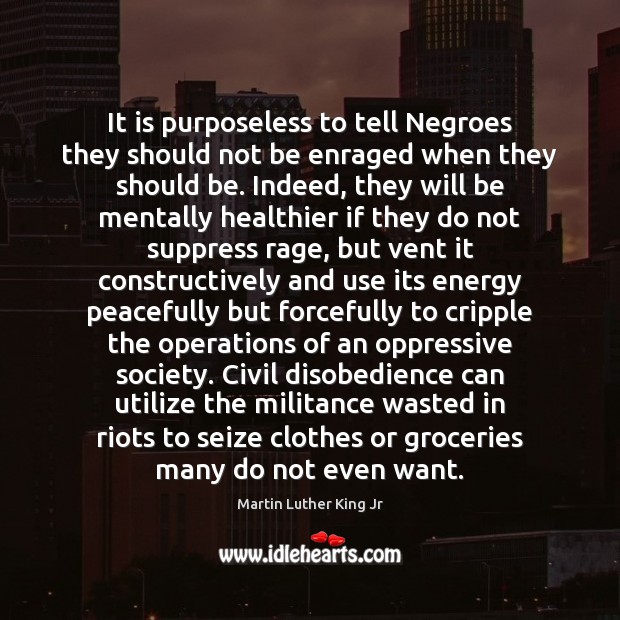 It is purposeless to tell Negroes they should not be enraged when Image