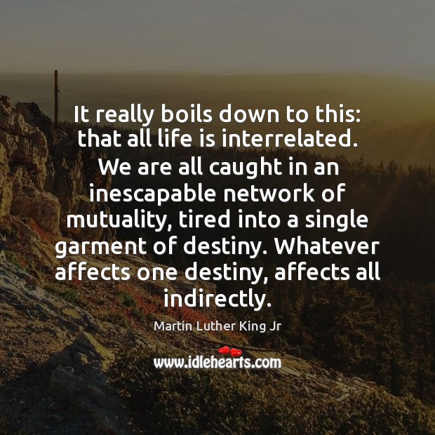 It really boils down to this: that all life is interrelated. We Image