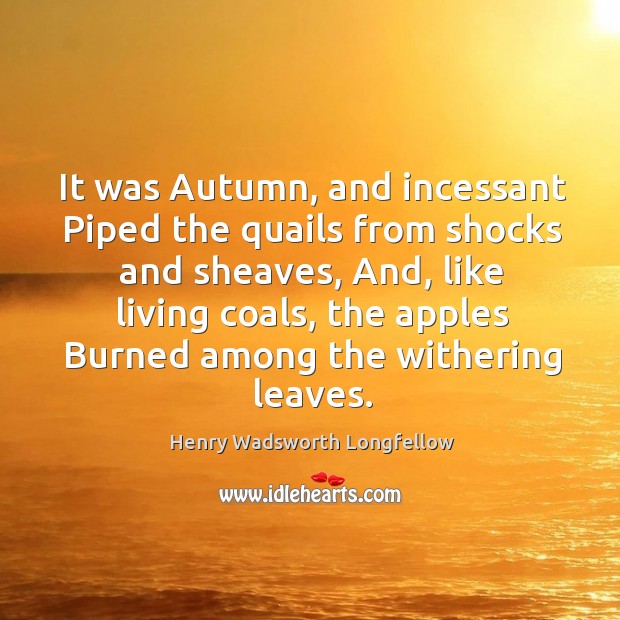 It was Autumn, and incessant Piped the quails from shocks and sheaves, Henry Wadsworth Longfellow Picture Quote