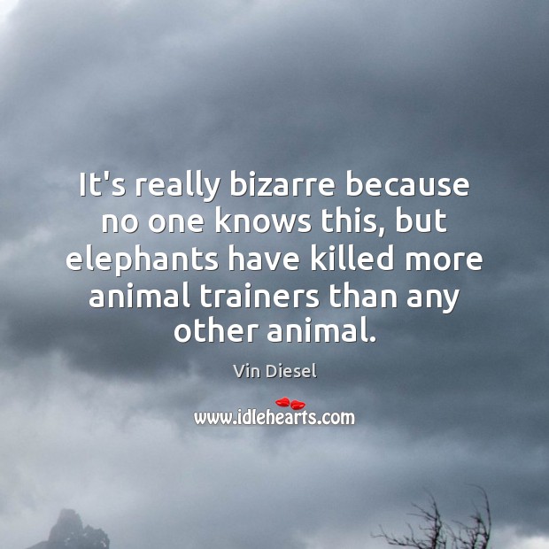 It’s really bizarre because no one knows this, but elephants have killed Picture Quotes Image