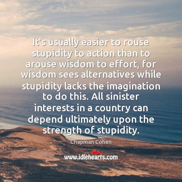 It’s usually easier to rouse stupidity to action than to arouse wisdom Effort Quotes Image