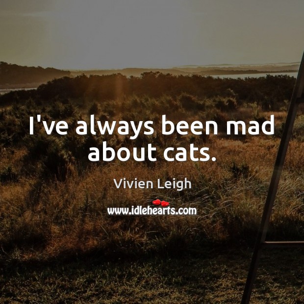 I’ve always been mad about cats. Vivien Leigh Picture Quote