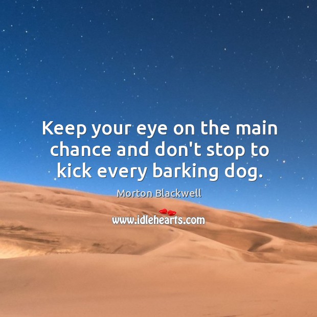 Keep your eye on the main chance and don’t stop to kick every barking dog. Morton Blackwell Picture Quote