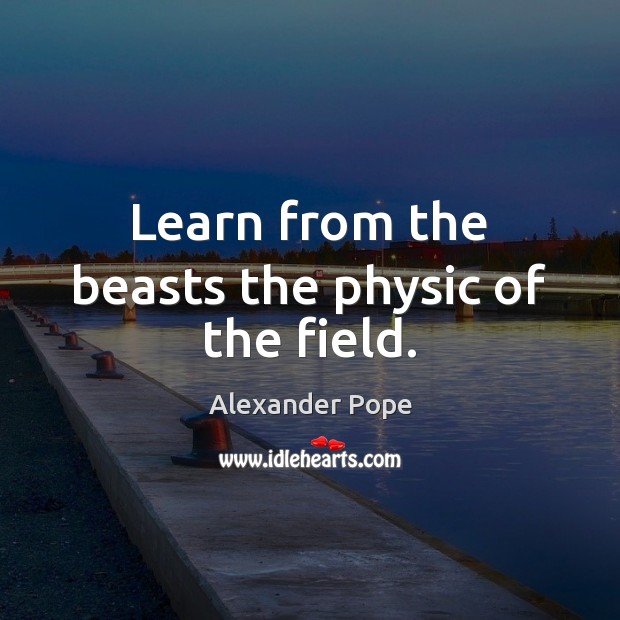 Learn from the beasts the physic of the field. Image