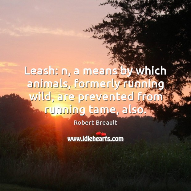 Leash: n, a means by which animals, formerly running wild, are prevented Picture Quotes Image