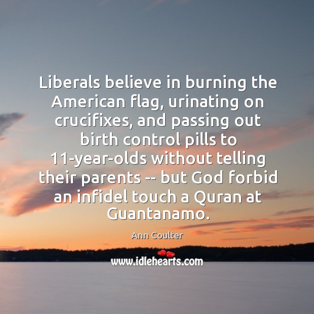 Liberals believe in burning the American flag, urinating on crucifixes, and passing Image